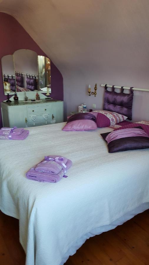 Bed and Breakfast Au berceau du loup agile à Offendorf Extérieur photo